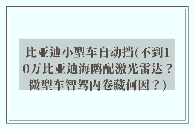 比亚迪小型车自动挡(不到10万比亚迪海鸥配激光雷达?微型车智驾内卷藏何因?)